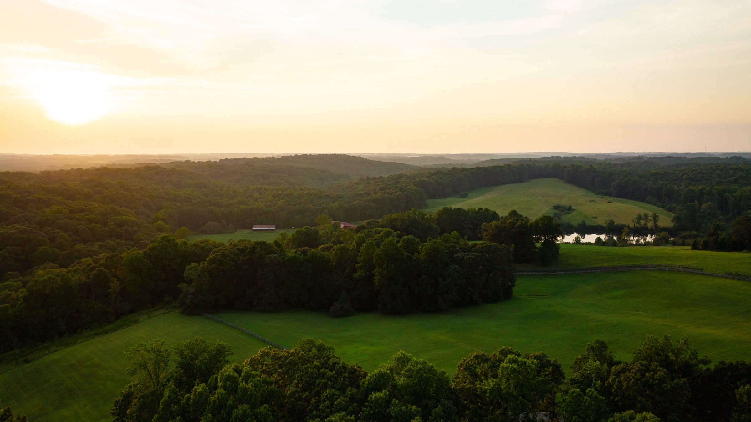 The Meadow at Sunset